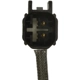 Purchase Top-Quality BLUE STREAK (HYGRADE MOTOR) - ETS160 - Exhaust Gas Capteur de température pa1