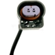 Purchase Top-Quality Temperature Sensor by DORMAN (OE SOLUTIONS) - 904-513 pa2