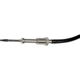 Purchase Top-Quality Temperature Sensor by DORMAN (OE SOLUTIONS) - 904515 pa1