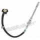 Purchase Top-Quality Temperature Sensor by WALKER PRODUCTS - 273-10133 pa9