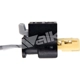 Purchase Top-Quality Temperature Sensor by WALKER PRODUCTS - 273-10392 pa13
