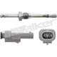 Purchase Top-Quality Temperature Sensor by WALKER PRODUCTS - 273-10410 pa11