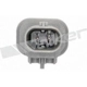 Purchase Top-Quality Temperature Sensor by WALKER PRODUCTS - 273-10410 pa4