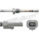 Purchase Top-Quality Temperature Sensor by WALKER PRODUCTS - 273-10410 pa5