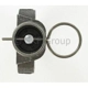 Purchase Top-Quality Tensioner Adjuster by SKF - TBH01040 pa3