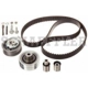 Purchase Top-Quality Tensioner by INA - ZD0082K pa1