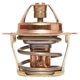 Purchase Top-Quality CALORSTAT AUTOMOTIVE - TH0963.93 - Thermostat pa1