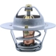 Purchase Top-Quality Thermostat by CALORSTAT AUTOMOTIVE - TH5971.88 pa1