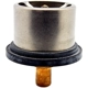 Purchase Top-Quality CALORSTAT AUTOMOTIVE - THS19094.80 - Thermostat pa1