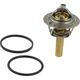 Purchase Top-Quality CRP/REIN - CTN0063 - Thermostat pa1