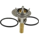 Purchase Top-Quality CRP/REIN - CTN0063 - Thermostat pa2