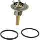 Purchase Top-Quality CRP/REIN - CTN0063 - Thermostat pa3