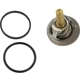 Purchase Top-Quality CRP/REIN - CTN0063 - Thermostat pa4