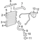 Purchase Top-Quality Thermostat Housing by MOPAR - 68273161AA pa1