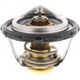 Purchase Top-Quality Thermostat by MOTORAD - 1107-200 pa12
