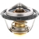 Purchase Top-Quality Thermostat by MOTORAD - 1107-200 pa13