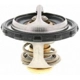 Purchase Top-Quality Thermostat by MOTORAD - 1107-200 pa5