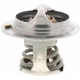 Purchase Top-Quality Thermostat by MOTORAD - 294-140 pa13