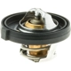 Purchase Top-Quality Thermostat by MOTORAD - 340-195 pa1