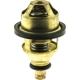Purchase Top-Quality Thermostat by MOTORAD - 4055-60 pa1