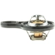 Purchase Top-Quality Thermostat by MOTORAD - 718-195 pa1