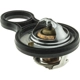 Purchase Top-Quality Thermostat by MOTORAD - 718-195 pa3