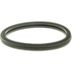 Purchase Top-Quality Thermostat Seal by MOTORAD - MG182EA pa4