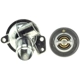 Purchase Top-Quality MOTORAD - 5113KTFS - Engine Coolant Thermostat Kit pa3