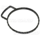 Purchase Top-Quality Throttle Body Base Gasket by BLUE STREAK (HYGRADE MOTOR) - FJG167 pa1