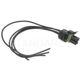 Purchase Top-Quality Throttle Position Sensor Connector by BLUE STREAK (HYGRADE MOTOR) - S555 pa2