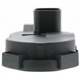 Purchase Top-Quality Throttle Position Sensor by MOTORAD - 1TP1017 pa4