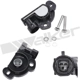 Purchase Top-Quality Throttle Position Sensor by WALKER PRODUCTS - 200-1077 pa10