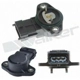 Purchase Top-Quality Throttle Position Sensor by WALKER PRODUCTS - 200-1352 pa5