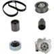 Purchase Top-Quality CONTINENTAL - TB321LK1MI - Timing Belt Kit pa1