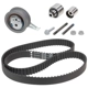 Purchase Top-Quality INA - 530-0650-100 - Engine Timing Belt Kit pa1