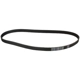 Purchase Top-Quality CONTINENTAL - TB319 - Timing Belt pa1