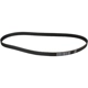 Purchase Top-Quality Timing Belt by CRP/CONTITECH - TB319 pa2