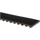 Purchase Top-Quality Courroie de distribution   de GATES - T355 pa8