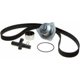 Purchase Top-Quality Timing Belt Kit With Water Pump by ACDELCO PROFESSIONAL - TCKWP255 pa1