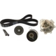 Purchase Top-Quality Timing Belt Kit With Water Pump by AISIN - TKGM002 pa2