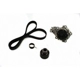 Purchase Top-Quality Timing Belt Kit With Water Pump by AISIN - TKN002 pa6