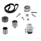 Purchase Top-Quality CONTINENTAL - TB342LK1MI - Engine Kit de courroie de distribution avec pompe à eau pa1