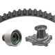 Purchase Top-Quality Timing Belt Kit With Water Pump by DAYCO - WP249K1A pa3