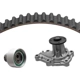 Purchase Top-Quality Timing Belt Kit With Water Pump by DAYCO - WP249K1D pa2