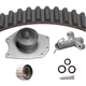 Purchase Top-Quality Timing Belt Kit With Water Pump by DAYCO - WP295K1DS pa3