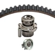 Purchase Top-Quality DAYCO - WP296K1AM - Timing Belt Kit With Water Pump pa4
