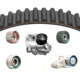 Purchase Top-Quality Timing Belt Kit With Water Pump by DAYCO - WP304K1B pa3