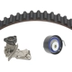 Purchase Top-Quality Timing Belt Kit With Water Pump by DAYCO - WP343K1B pa1
