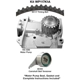 Purchase Top-Quality Timing Belt Kit With Water Pump by DAYCO - WP117K1A pa1
