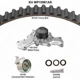 Purchase Top-Quality Timing Belt Kit With Water Pump by DAYCO - WP139K1AS pa2